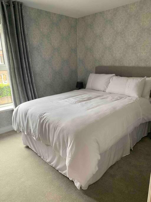 Apartment The Court Belfast